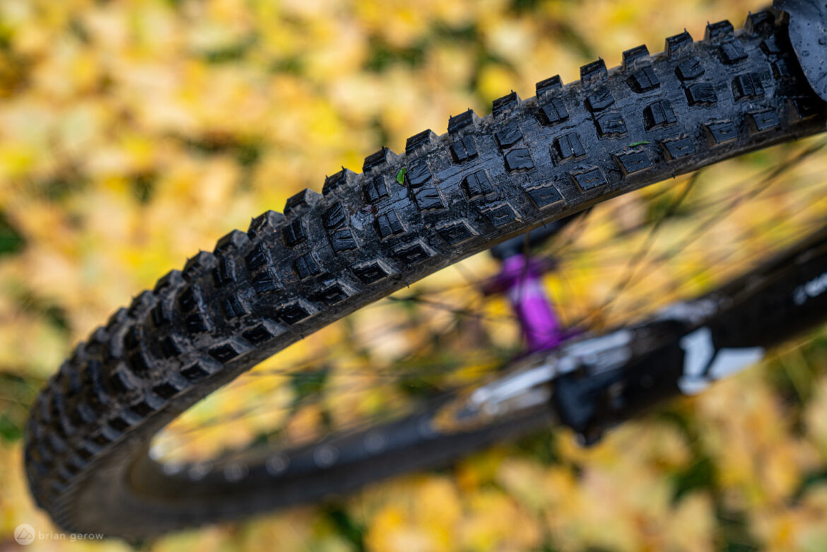 ¿Cómo se agarran los neumáticos MTB? Le preguntamos a los ingenieros de goma en bicicletas especializadas: esta red de montaña web News