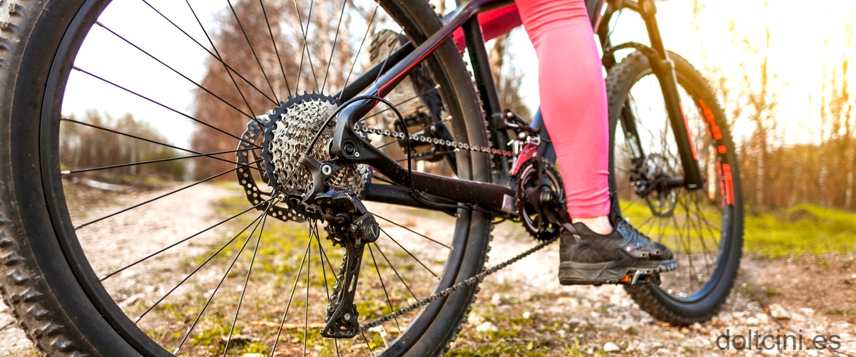 ¿Cómo saber cuándo cambiar la horquilla de una bicicleta?